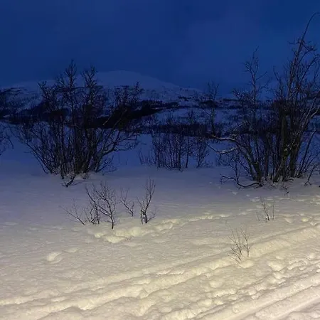 Hybel I Naturskjont Omrade Tromsø