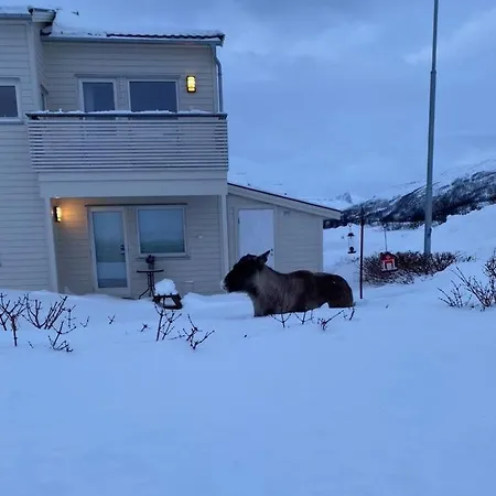 Hybel I Naturskjont Omrade